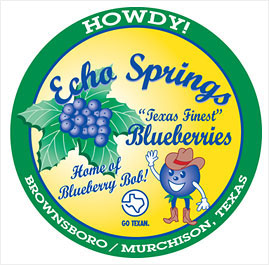 Echo Springs illustration